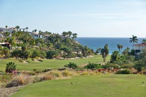 Palmilla (Ocean) 3rd